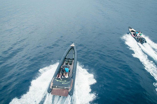 Private Speed Boat Day Cruise In Athens Riviera - The Sum Up