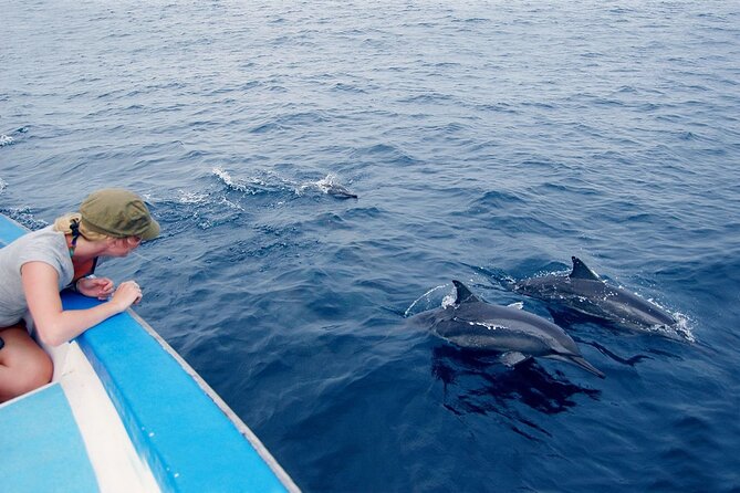 Private Speed Boat Island Trip: Swim With Dolphins, Snorkeling - Good To Know