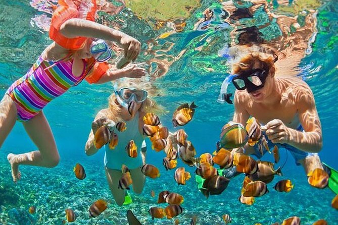 Private Speed Boat Phi Phi and Bamboo Islands - Booking and Reservation