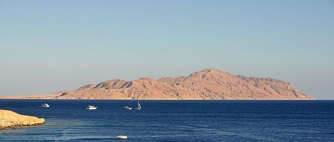 Private Speed Boat Snorkeling Trip to Tiran Island - Tour Operator Details