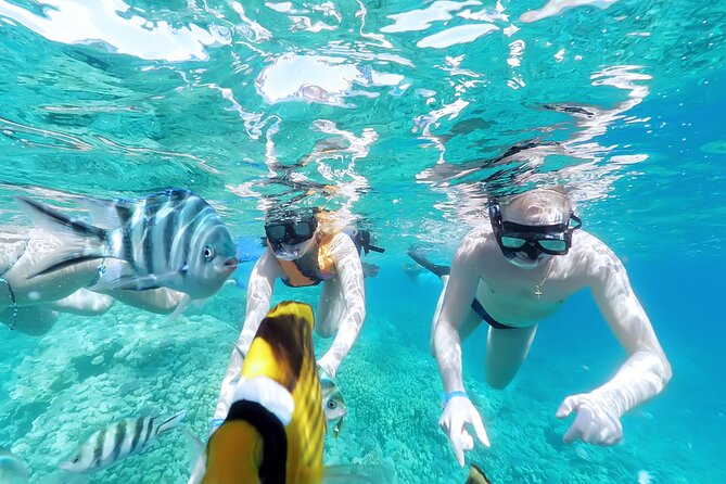 Private Speed Boat Snorkeling Trip With Parasailing - Hurghada - What to Expect