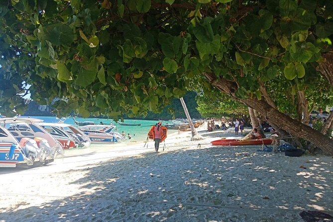 Private Speed Boat to Maya Bay, Monkey Beach at Phi Phi Island - Tour Highlights