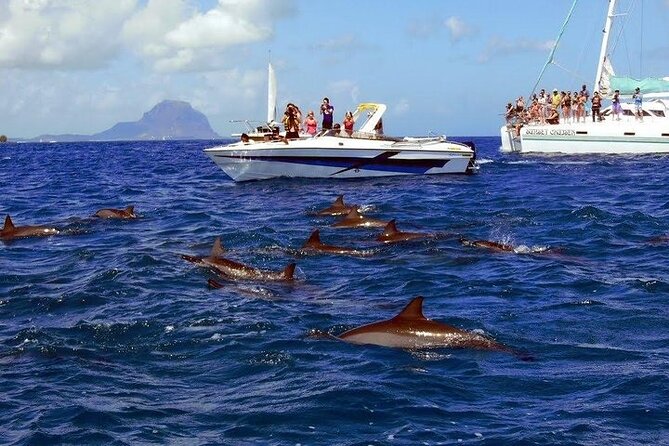 Private Speed Boat Tour and Dolphin Encounter at Ile Aux Benitier - Pickup and Transportation