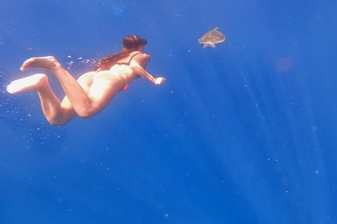 Private Speed Boat Tour - What To Expect