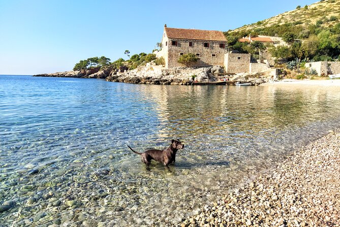Private Speed Boat Tour of Hvar South Shore & Pakleni Islands - Additional Information