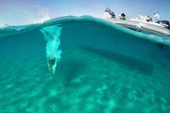 Private Speedboat Cruise From Delos to Rhenia and Mykonos - Mykonos: Island Paradise