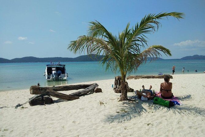 Private Speedboat Koh Tan & Pig Island Snorkeling from Samui - What Travelers Say About the Experience