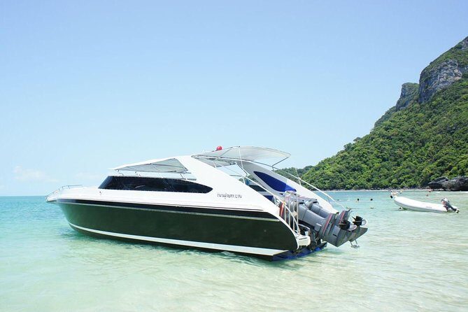 Private Speedboat Koh Tan & Pig Island Snorkeling from Samui - FAQ