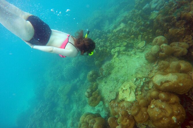 Private Speedboat Maiton, Racha, and Coral Islands Tour From Phuket - Inclusions and Cancellation Policy