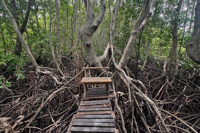 Private Speedboat tour to Koh Madsum (Pig Island) & Koh Tan - The Sum Up