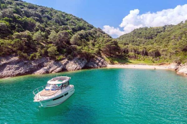 Private Speedboat Tours Sea Symphony - Dalmatian Coast Experience