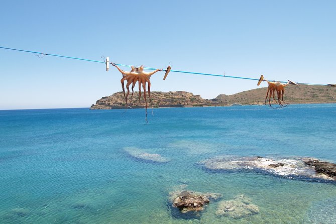 PRIVATE Spinalonga, Ag Nikolaos, Olive Oil Factory Incl Boat - Customer Reviews