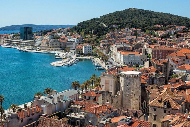 Private Split & Trogir: Wine Tasting & Vineyard With Sea View - Customer Reviews and Feedback