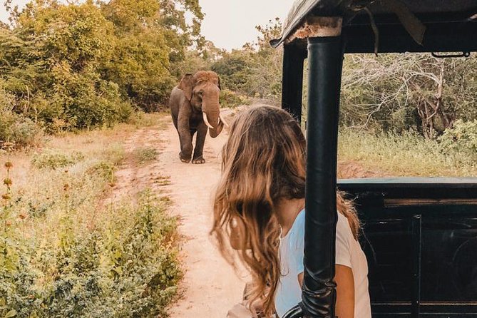 Private Sri Lanka 7-Day Tour With Private Car and Driver-Guide  - Colombo - Tour Pricing and Guarantee