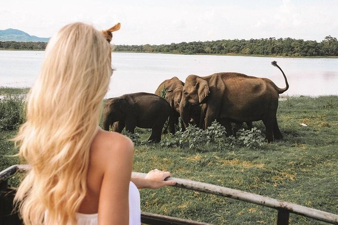 Private Sri Lanka 7-Day Tour With Private Car and Driver-Guide  - Colombo - Date and Traveler Information