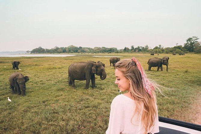 Private Sri Lanka 7-Day Tour With Private Car and Driver-Guide  - Colombo - Reviews and Questions