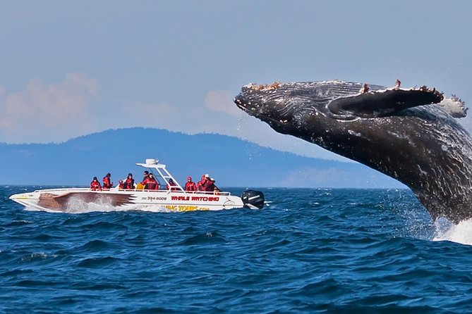 Private Sri Lanka Pearl of the Indian Ocean 14-Day Tour - Colombo - Common Questions