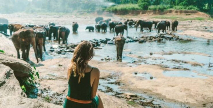 Private Sri Lanka Tour: A 3-Day Preview - Key Attractions