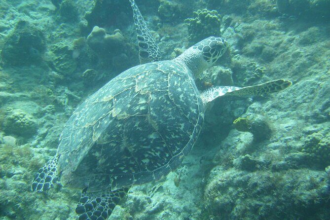 Private St. Maarten Cruise - Hakuna Matata Catamaran - The Experience in Detail