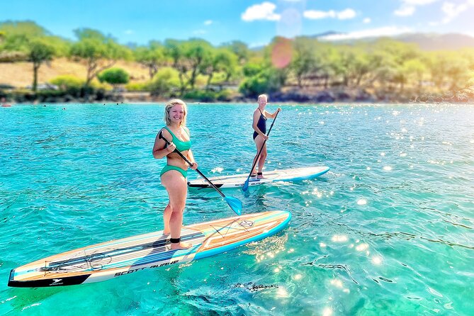 Private Stand Up Paddle Boarding Tour in Turtle Town, Maui - Guide and Instructor Experience