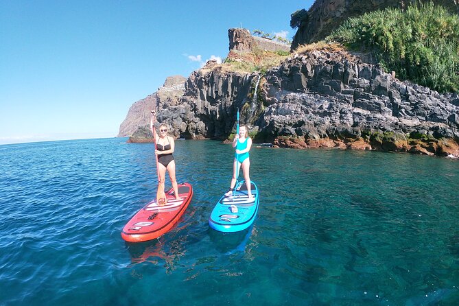 Private Stand up Paddle Tour in Câmara De Lobos - Traveler Experience