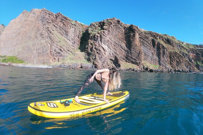 Private Stand up Paddle Tour in Câmara De Lobos - Additional Information