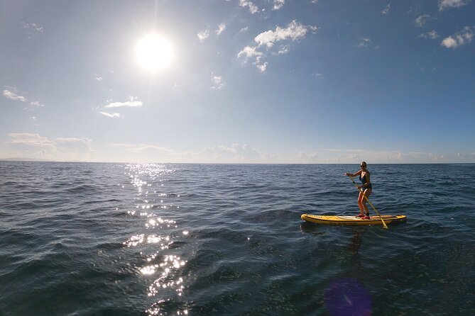 Private Stand up Paddle Tour in Câmara De Lobos - Price and Availability