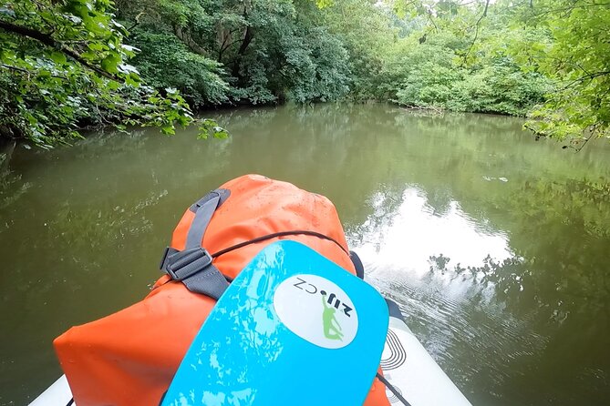 Private Stand Up Paddleboarding Trip on Dyje River - Review Information