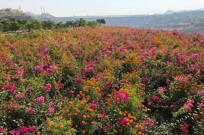 Private Statue of Unity Tour From Ahmedabad - The Experience: What Travelers Say