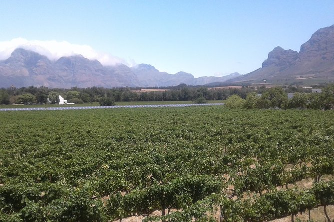 Private Stellenbosch, Franschhoek Paarl Wine Tour From Cape Town - Tour Guides