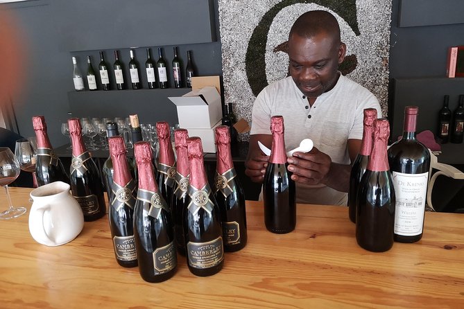 Private Stellenbosch, Franschhoek Paarl Wine Tour From Cape Town - Customer Recommendations and Feedback