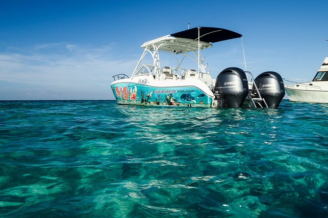 Private Stingray City Snorkeling and BioBay Charter for 6 Guests - Pricing and Availability