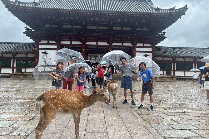 Private Story in Nara about Deer, Buddha, and You - Good To Know