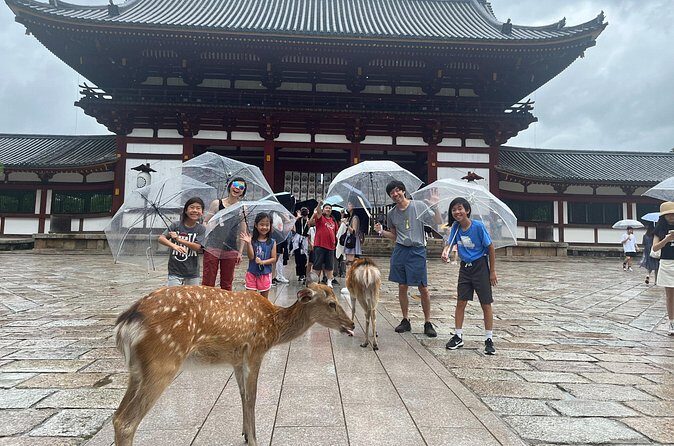 Private Story in Nara about Deer, Buddha, and You - Final Thoughts