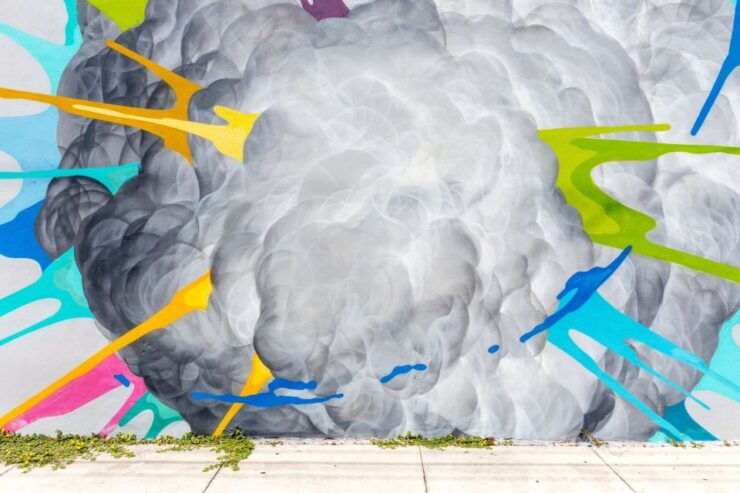 Private Street Art Tour in Miami - Booking Details