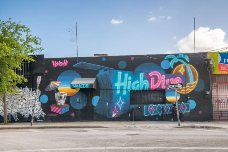 Private Street Art Tour in Miami - Tour Experience