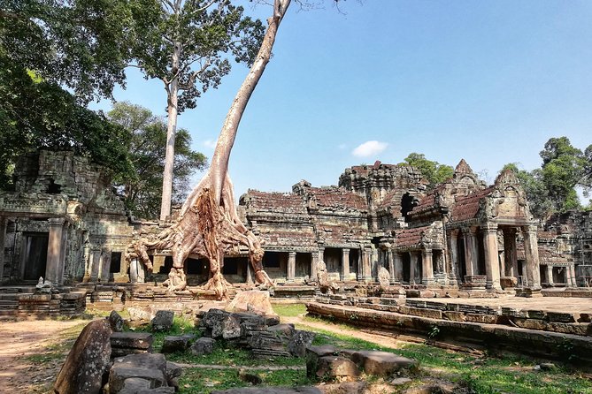 Private Sunrise Angkor Tour - Tour Overview