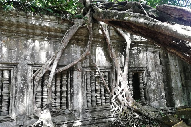 Private Sunrise Angkor Tour - Inclusions