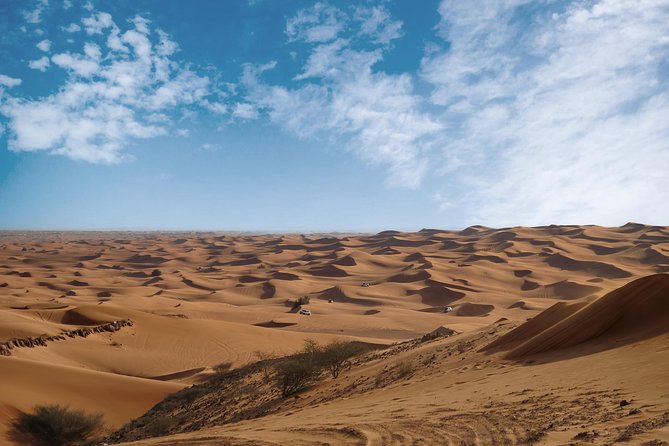 Private Sunrise Desert Safari - Tour Highlights