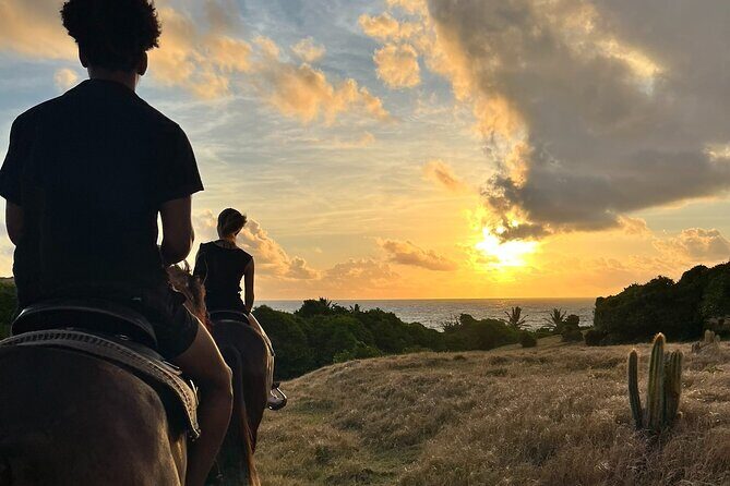 Private Sunrise Horseback Beach Ride with Sandy Hoofs St. Lucia - Good To Know