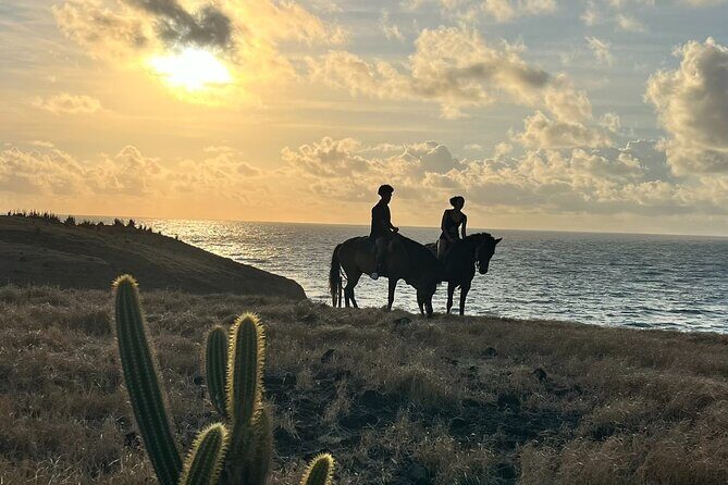 Private Sunrise Horseback Beach Ride with Sandy Hoofs St. Lucia - FAQ