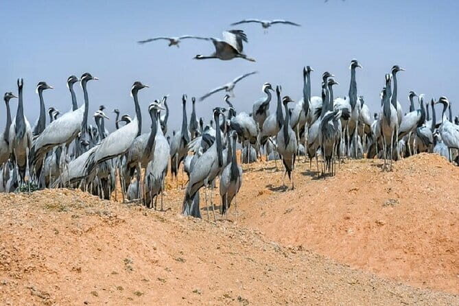 Private Sunrise Taj Mahal Tour  " Round Trip from Delhi by Car " - Final Thoughts