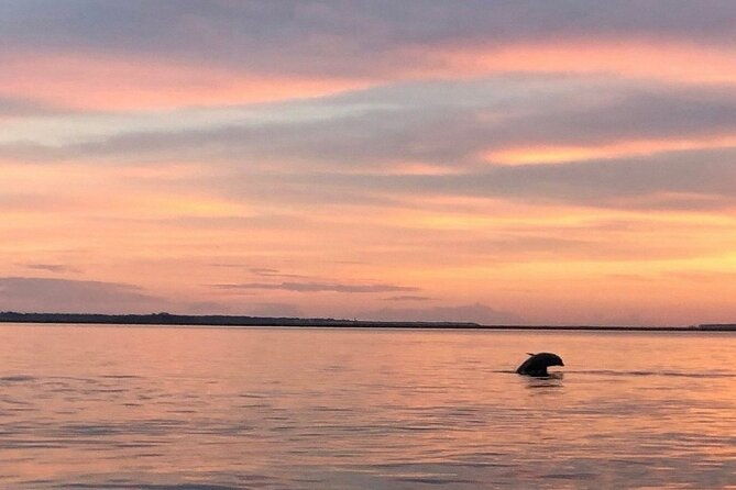 Private Sunset and Fireworks Dolphin Tour (6 people max) - FAQ