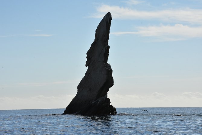 Private Sunset Cruise - Reviews and Ratings