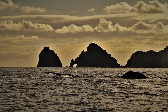 Private Sunset Cruise - Pricing and Terms