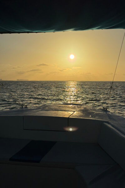 Private Sunset Cruise and Snorkeling by Isla Mujeres Bay - Included Costs
