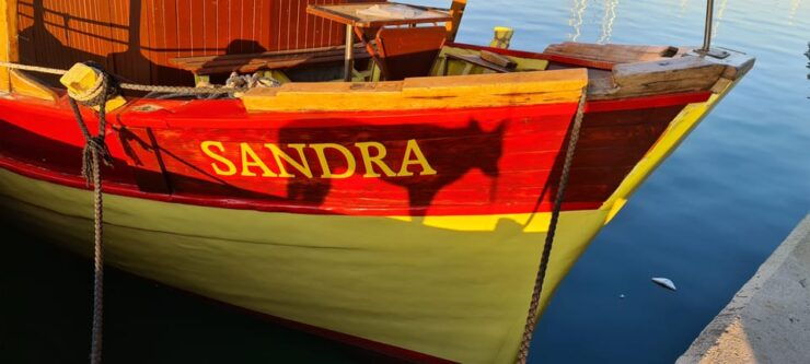 Private Sunset Dolphin Excursion With Sandra Boat - Good To Know
