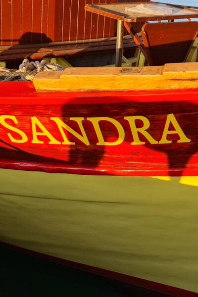 Private Sunset Dolphin Excursion With Sandra Boat - Accessibility Features