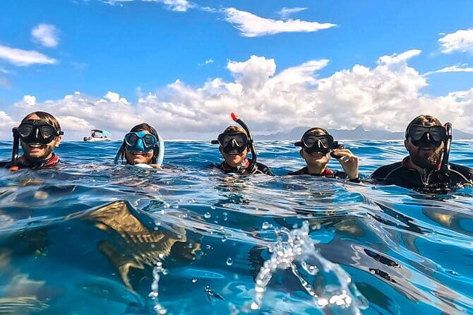 Private sunset excursion to the Sailing Lagoon of Tahiti - Who is This Tour Best For?