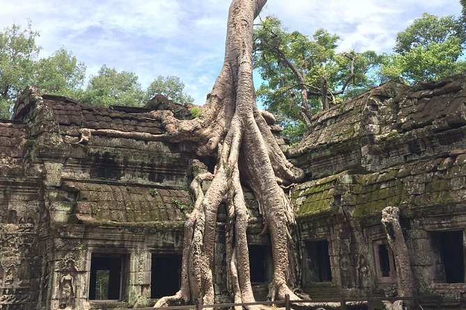 Private Sunset Guided Tours, Angkor Wat, Angkor Thom, Ta Prohm & Phnom Bakheng - Key Inclusions
